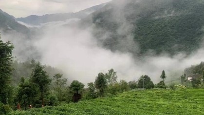 木鱼镇潮水河村:靠绿生财 借景生金